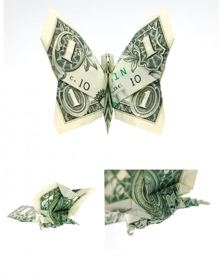 Dollar Origami by Won Park