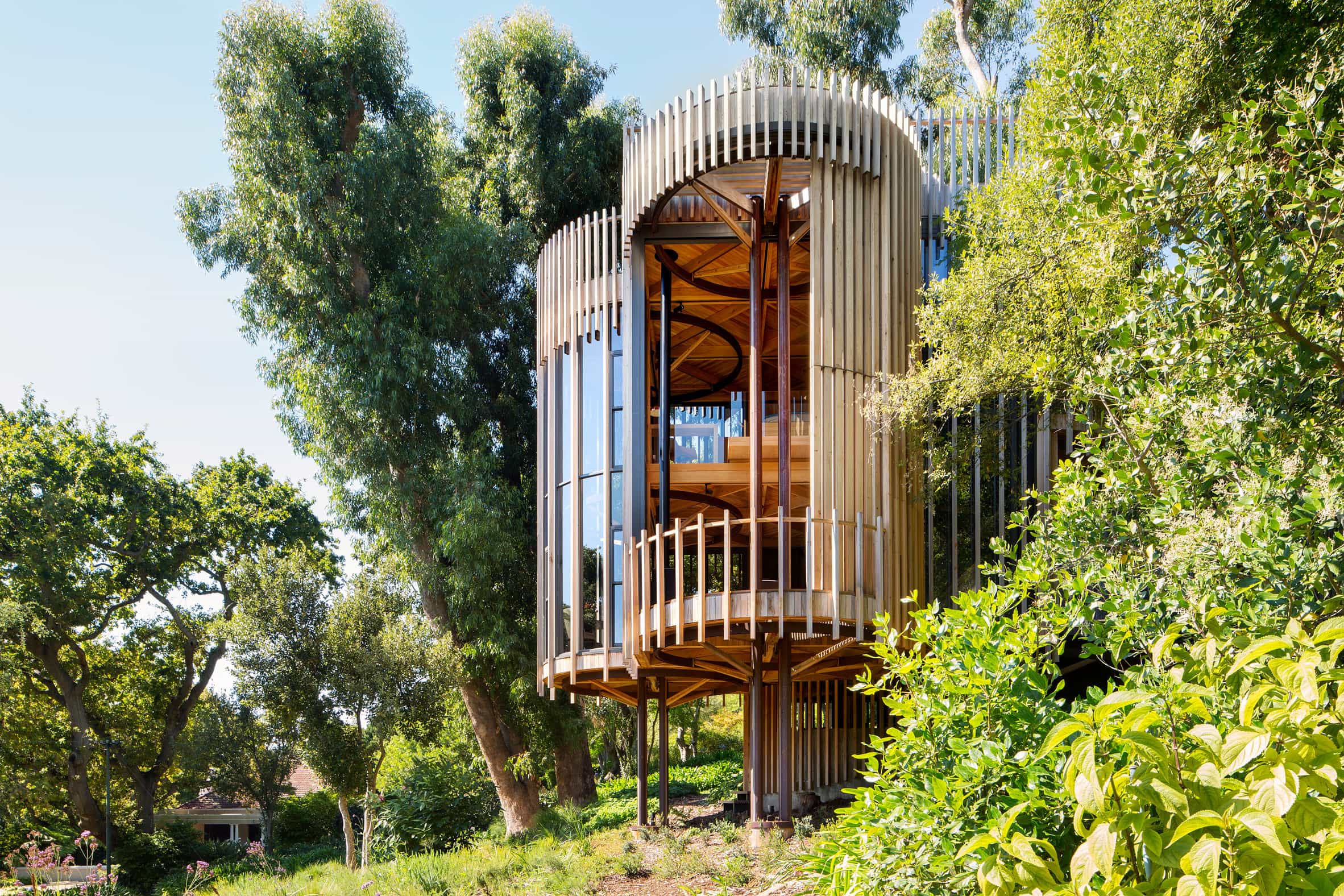 Malan Vorster s Treehouse Architecture FGIdeas malan-vorster-s-treehouse-architecture-fgideas