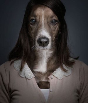dogs dressed like their owners